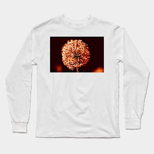 Close-up of  Allium Flower 3 Long Sleeve T-Shirt